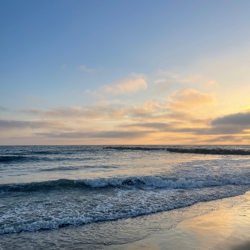 Meet your Posher, VR:)